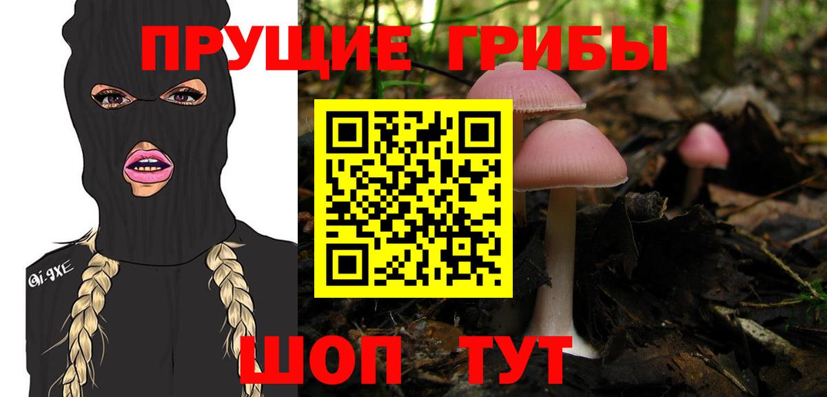 Галлюциногенные грибы Psilocybine cubensis  Вход с VPN  закладка  Нарткала 