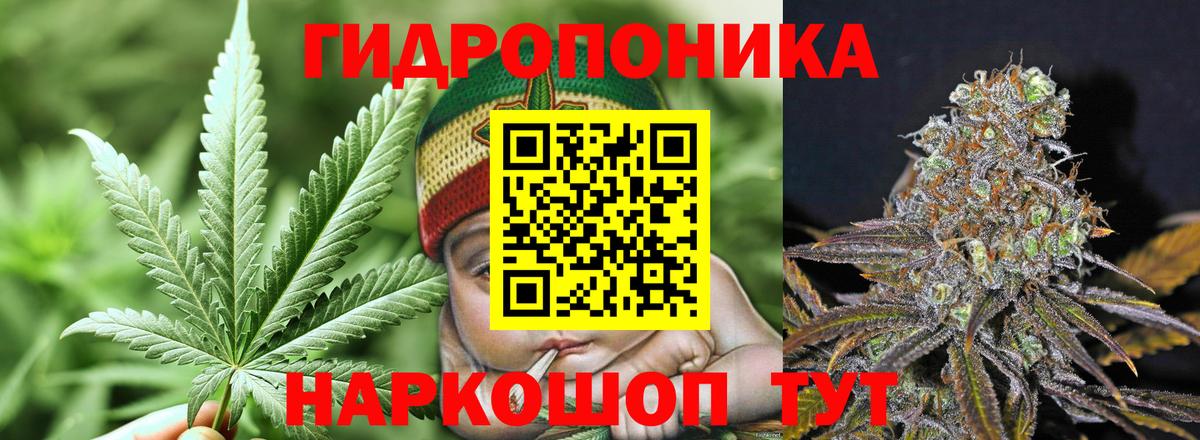 Конопля тримм  Вход с VPN  Шишки марихуана VHQ  Конопля индика  Нарткала 
